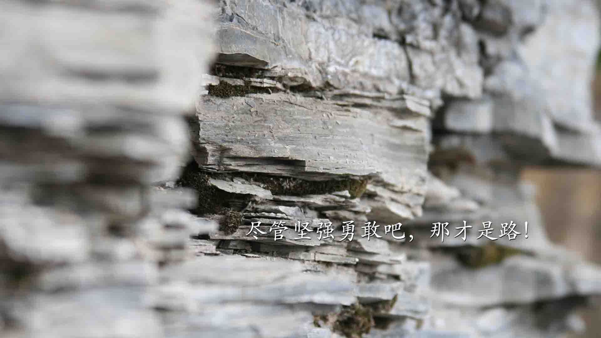 kaiyun中国官方网站-全国极限飞盘精英赛，团队默契的极限考验，极限飞盘比赛规则视频